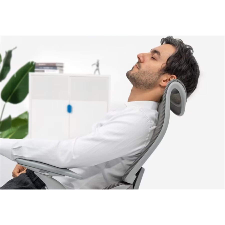 FlexiSpot BS8 Pro Premium Ergonomic WFO & WFH Office Chair - Mesh Backrest & Comfy Cushion Seat, 3D Rotating Armrest, Max Load 150kg