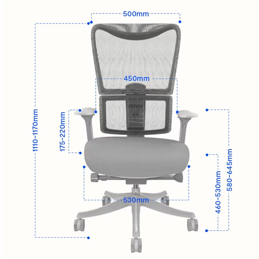 FlexiSpot BS8 Pro Premium Ergonomic WFO & WFH Office Chair - Mesh Backrest & Comfy Cushion Seat, 3D Rotating Armrest, Max Load 150kg