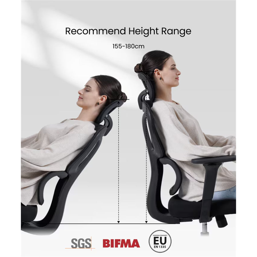 FlexiSpot BS5 Pro Black Ergonomics Office Chair With Footrest - Cloud-like Cushion