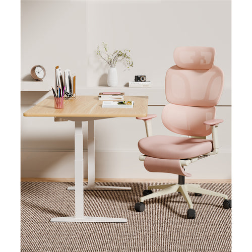 FlexiSpot BS5 Pro Pink Ergonomics Office Chair With Footrest with Cloud-like Cushion