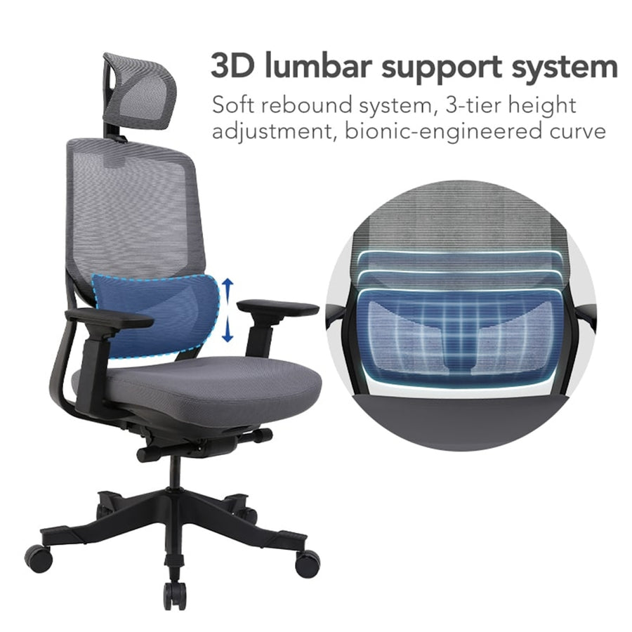 Loctek YZ502 Ergonomic Office Chair, With 3D Lumbar Support System - Cushioned 4D Adjustable Armrest - Ultimate breathable mesh Backrest - 45° backrest tilt - Adjustable Seat Depth - Passed AS/NZS 4438:1997 NZ Chair Standard