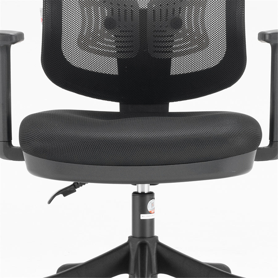 Sihoo M56-301 Ergonomic Home Office Chair