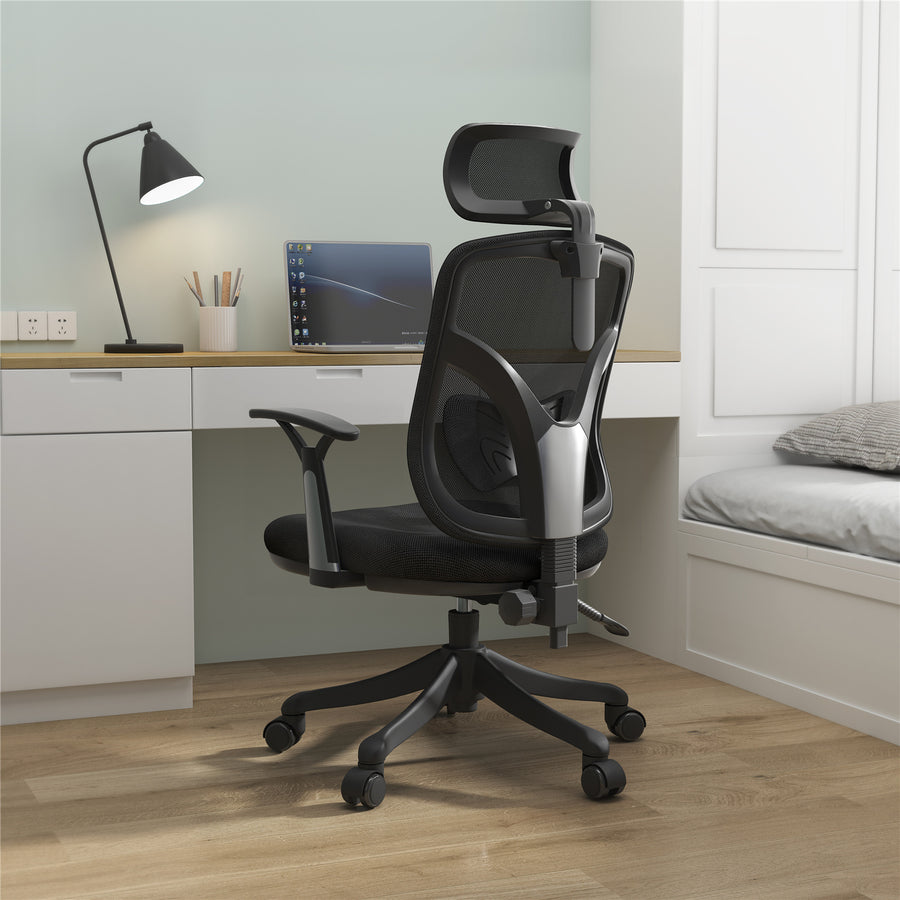 Sihoo M56-301 Ergonomic Home Office Chair