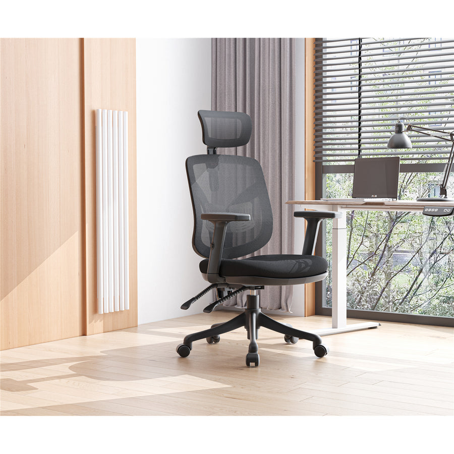 Sihoo M56-301 Ergonomic Home Office Chair