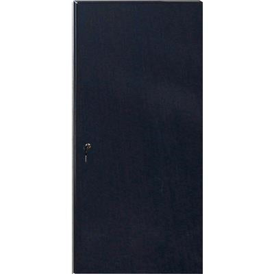 DYNAMIX RSBD42-600 - Solid Front or Back Door for 42RU 600mm Wide SR Series Cabinet