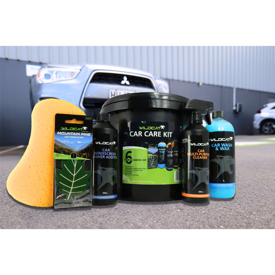 WILDCAT Car Care Kit 6 Piece Cleaning Kit (Big Save)