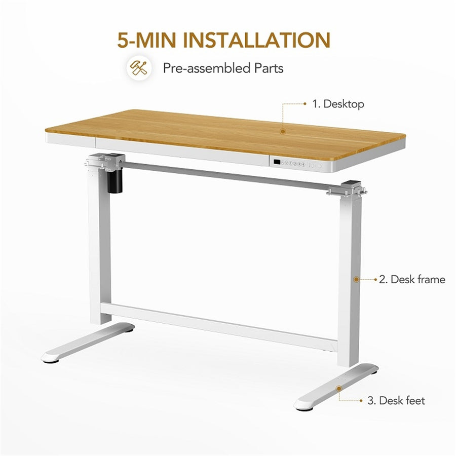 Loctek Home & Office All-in-One Standing Desk Maple White Colour Tabletop Size 1200*600x12mm With 2 USB-A + 1 USB-C Charging Port, Pull-out Drawer, With Anti Collision System & Child Safety Lock - 3 Years Warranty