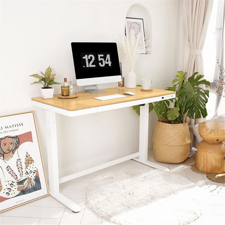 Loctek Home & Office All-in-One Standing Desk Maple White Colour Tabletop Size 1200*600x12mm With 2 USB-A + 1 USB-C Charging Port, Pull-out Drawer, With Anti Collision System & Child Safety Lock - 3 Years Warranty