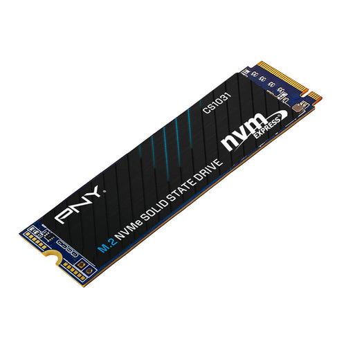 PNY  CS1031 256GB M.2 Internal SSD