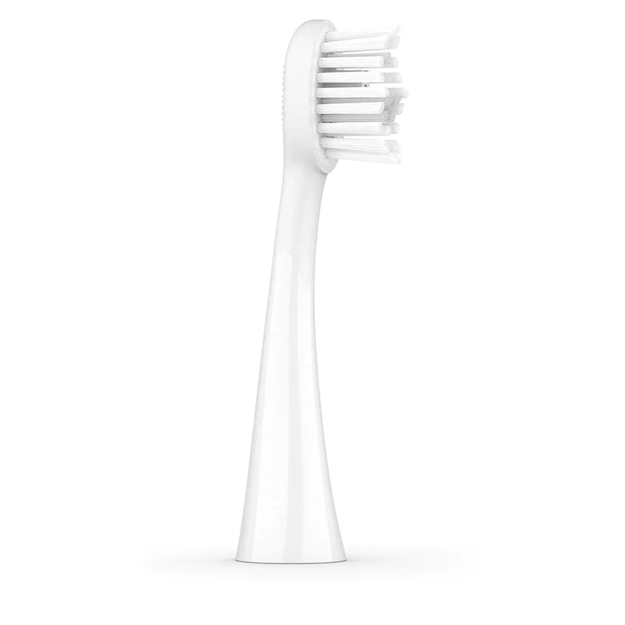 Ordo   -Silver Sonic+ Toothbrush