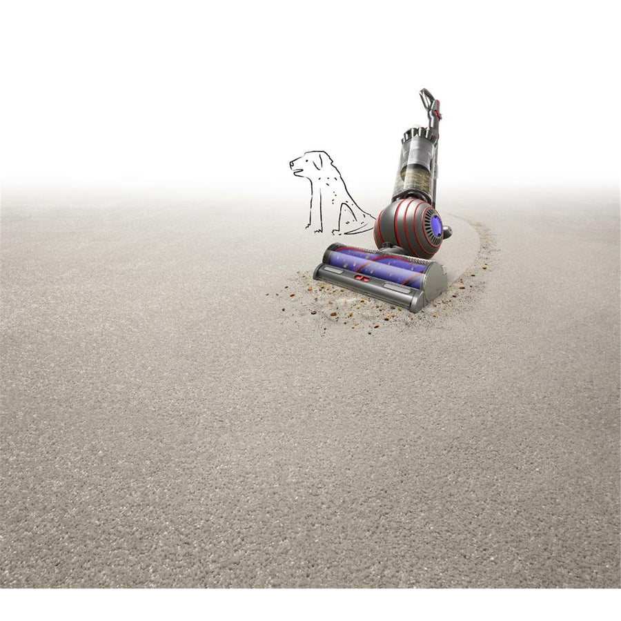 Dyson Ball Animal Origin Upright Corded Vacuum