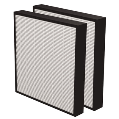 Fellowes 9416602 - AeraMax PRO AM3-4 True HEPA Filter, Pack of 2