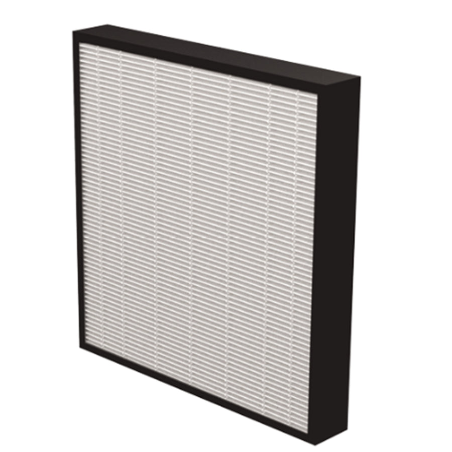 Fellowes 9416602 - AeraMax PRO AM3-4 True HEPA Filter, Pack of 2