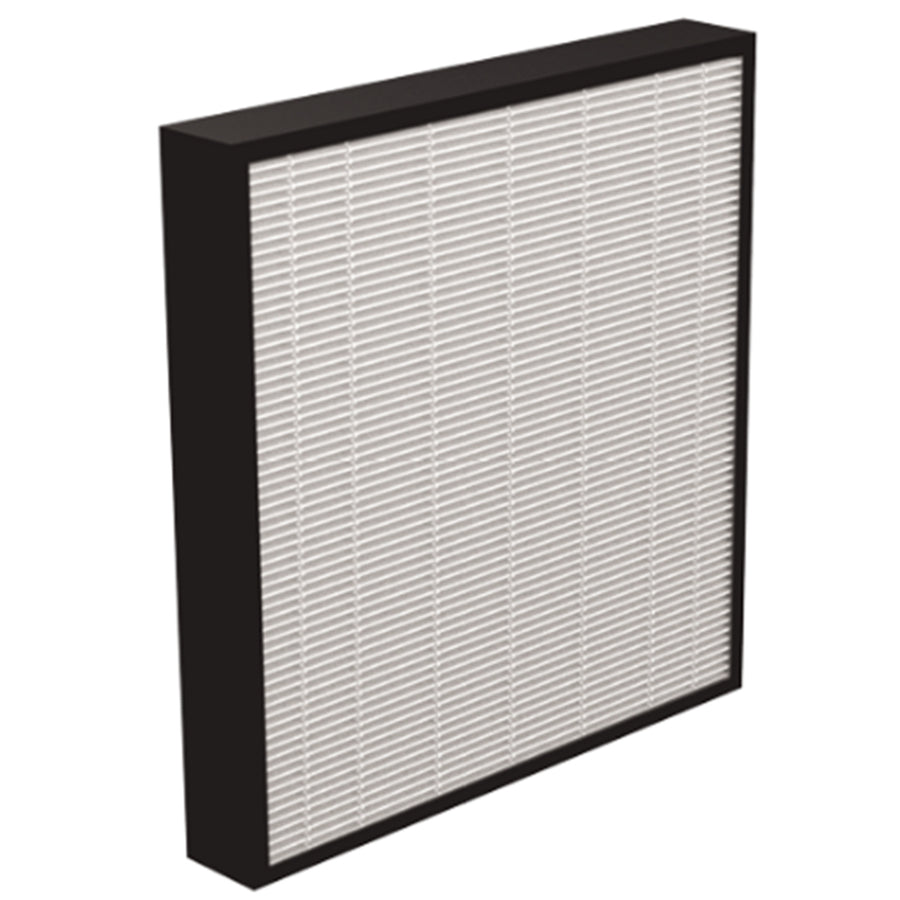 Fellowes 9416602 - AeraMax PRO AM3-4 True HEPA Filter, Pack of 2