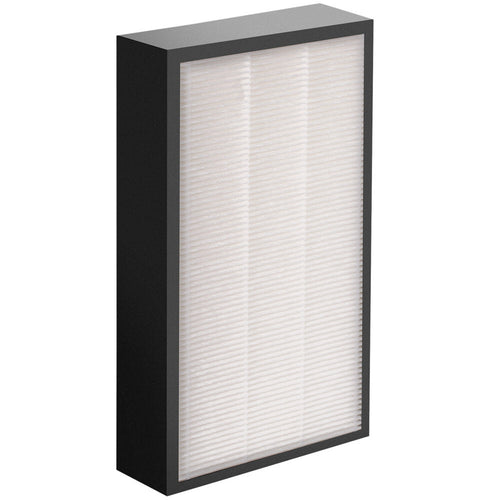 Fellowes 9544301 - AeraMax PRO AM2 50mm True HEPA Filter