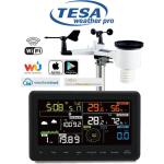TESA WS2980C-RAIN - WS2980C REGENSAMMLER