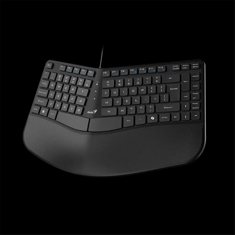 Genius Ergonomic Keyboard Ergo KB-700