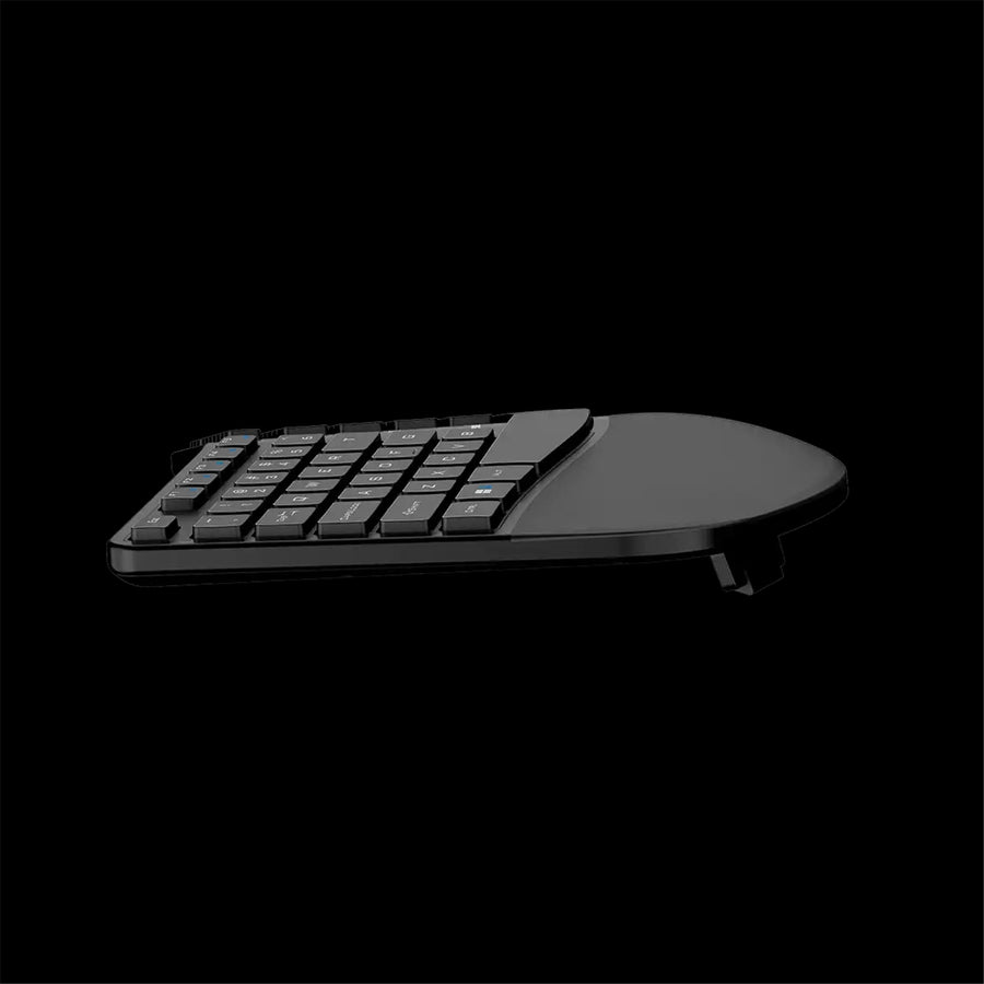 Genius Ergonomic Keyboard Ergo KB-700