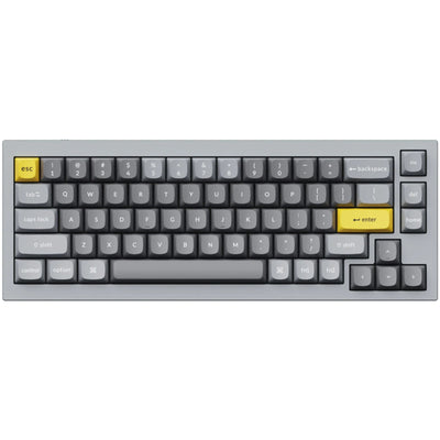 Keychron Q2-D3 65% Layout 68 Key Grey Brown Switch RGB Hot-Swap Wired Keyboard