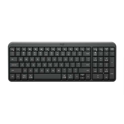 LOGITECH 920-013491 - K250 Graphite