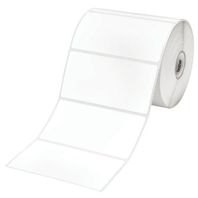 BTD499X60 - Brother Vistor Badge Labels