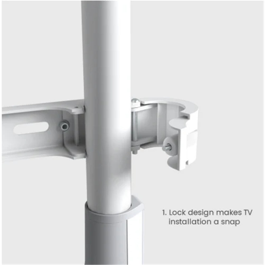 Bracom TT30-46F-01 Stilvolle TV-Bodenständer mit vier Beinen (Metall & Holz) bis 40 kg – Mattschwarz & Walnuss – 49"-70"
