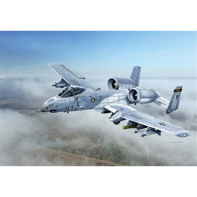 ITALERI 1/48 A-10 TBOLT "BLACKSNAKES"