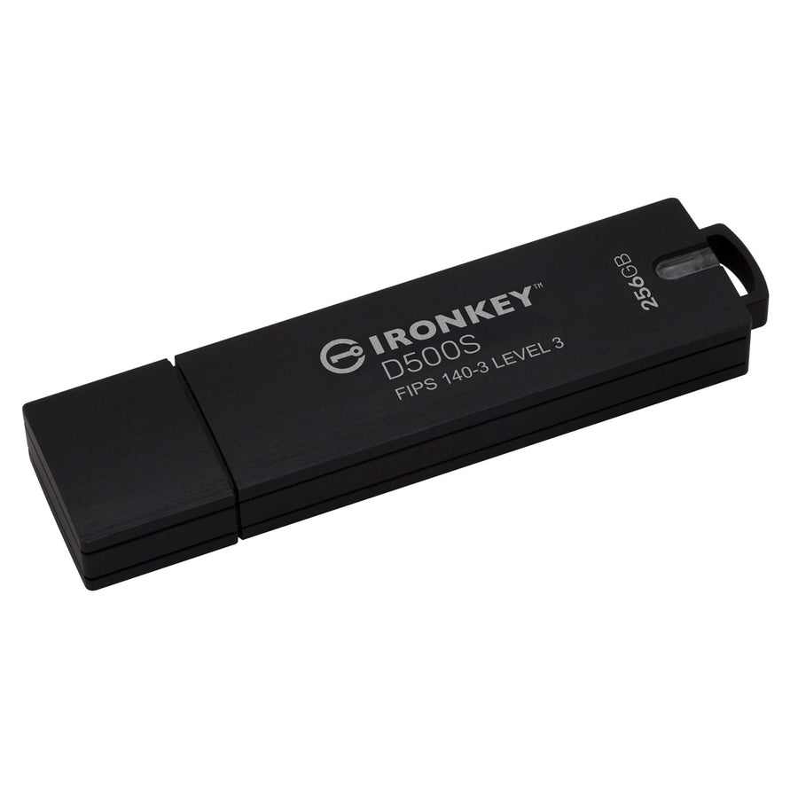 Kingston IKD500S/256GB
