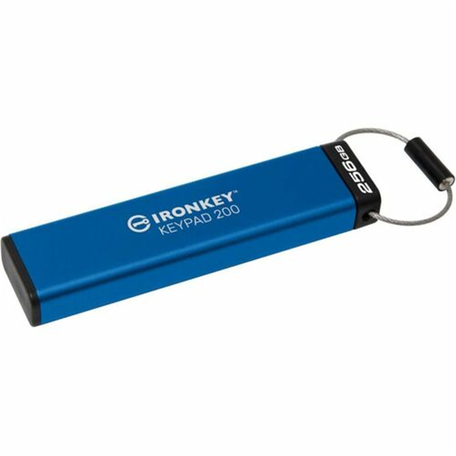 Kingston IKKP200/256GB