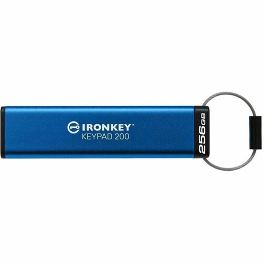 Kingston IKKP200/256GB