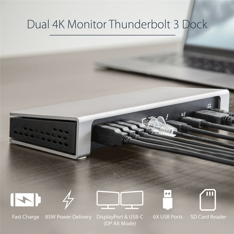 StarTech.com TB3DOCK2DPPD