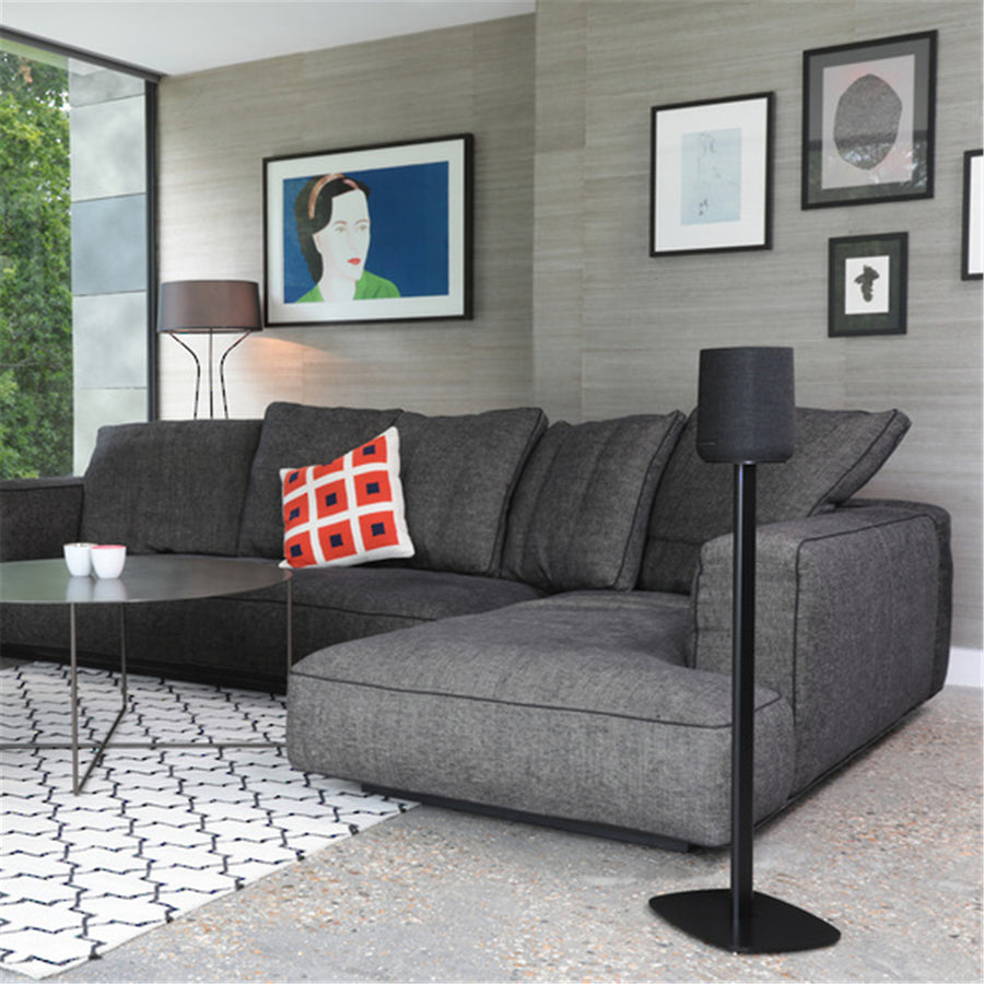 SoundXtra SDXHKCONEFS1021 - Floor Stand for Harman Kardon Citation