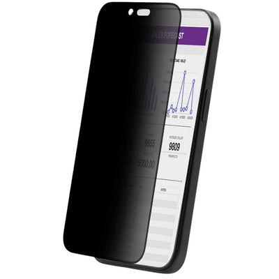 4-Wege-Blickschutzfolie für iPhone 16