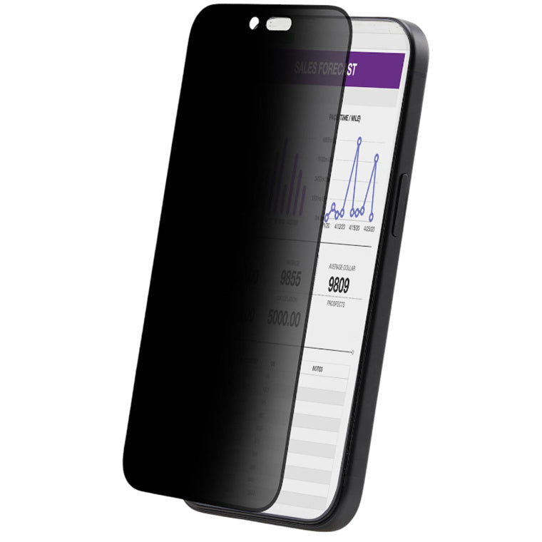 4-Way Privacy Screen For iPhone 16