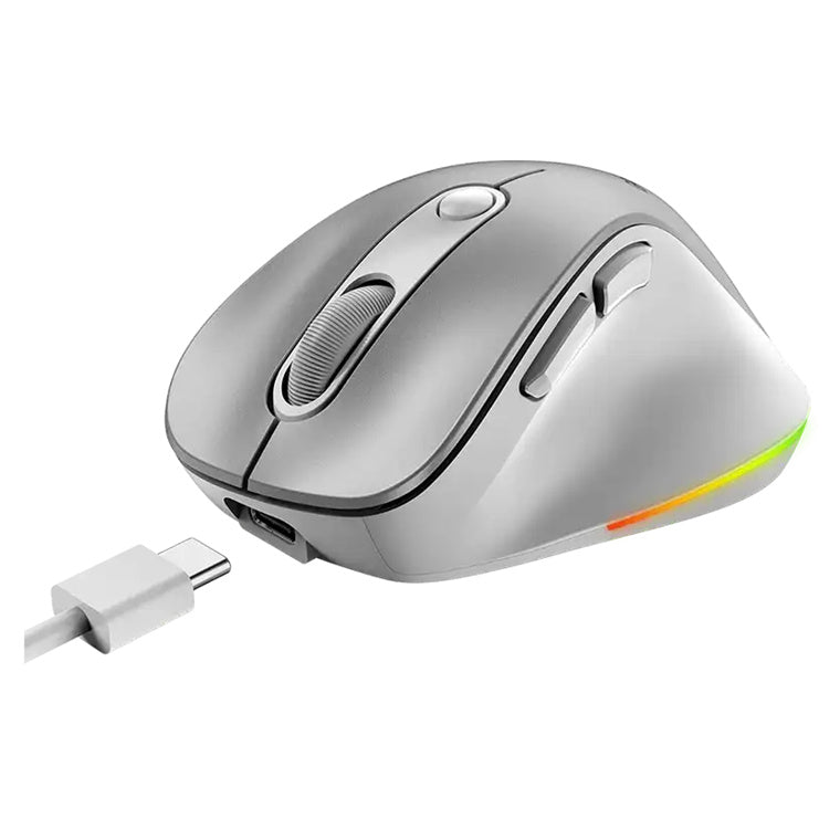 Genius Ergo 9000S Pro Silent Ergo Mouse - Silver