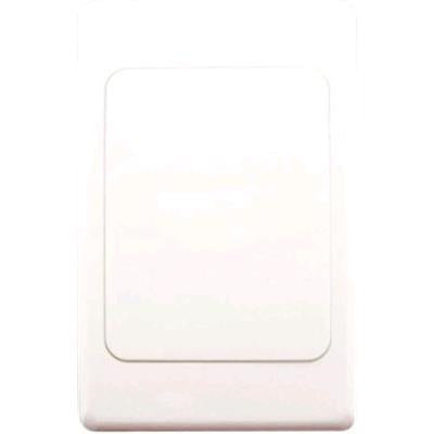 AMDEX FP-BLV2 BLANK Face Plate Used for Custom AV Connector Requirements