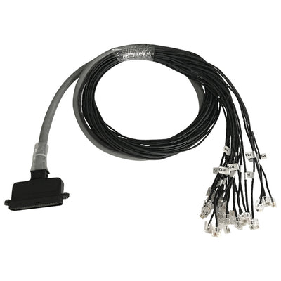 Grandstream 10-50TELCO24RJ1 - Patton 10-50TELCO/24RJ11 6 Foot Cable 50 PIN TELCO to 24 RJ11 Plugs