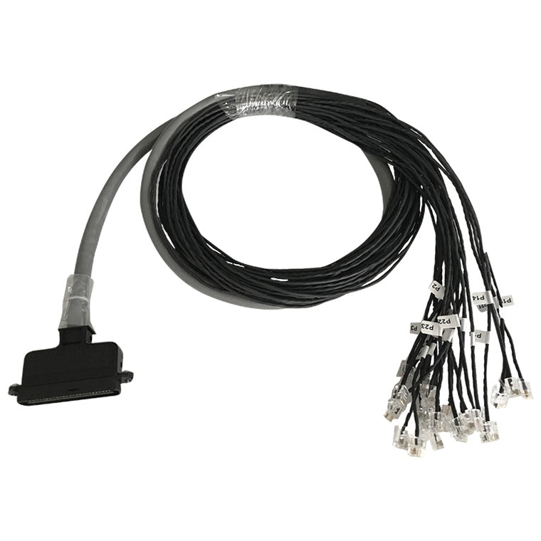 Grandstream 10-50TELCO24RJ1 - Patton 10-50TELCO/24RJ11 6 Foot Cable 50 PIN TELCO to 24 RJ11 Plugs