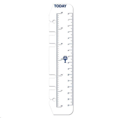 Debden Personal Dayplanner Today Ruler, Pack of 2