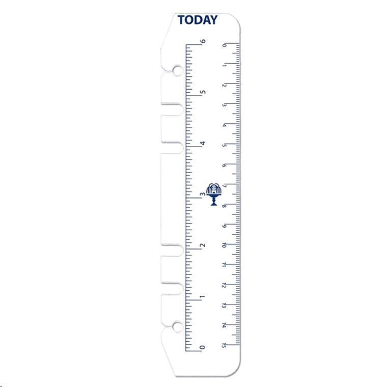 Debden Personal Dayplanner Today Ruler, Pack of 2