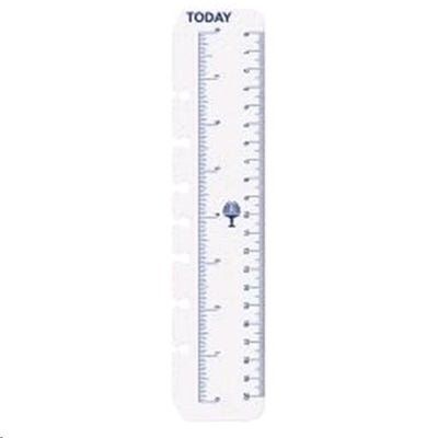 Debden Desk Dayplanner Today Ruler, Pack of 2