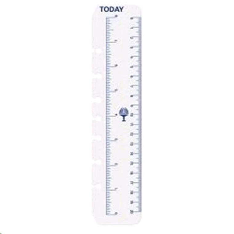 Debden Desk Dayplanner Today Ruler, Pack of 2