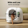 Petkit Pura Max 3 Self-Cleaning Cat Litter Box with Large Capacity for Multiple Cats xSecure/Odor Removal/APP Control - 2 Years Warranty — image 2