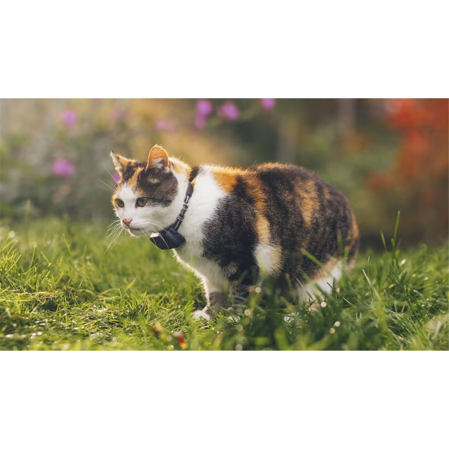 Tractive Mini GPS Cat Tracker - Subscription Required - Midnight Blue