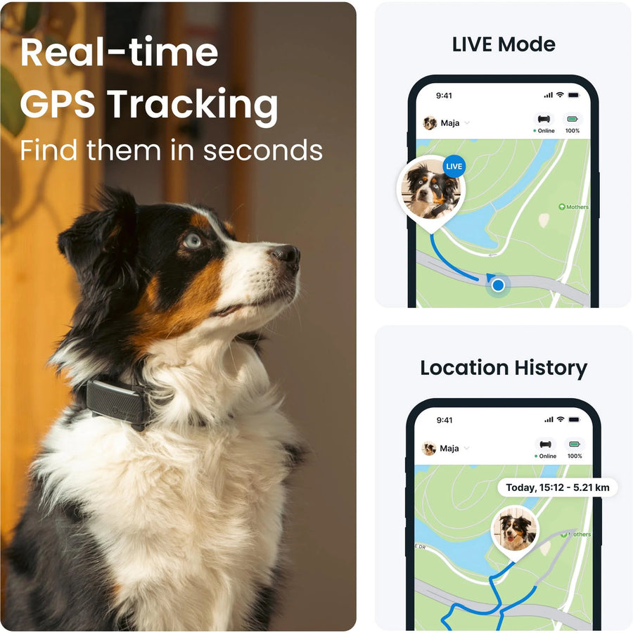 Tractive GPS Dog 6 Tracker - Subscription Required