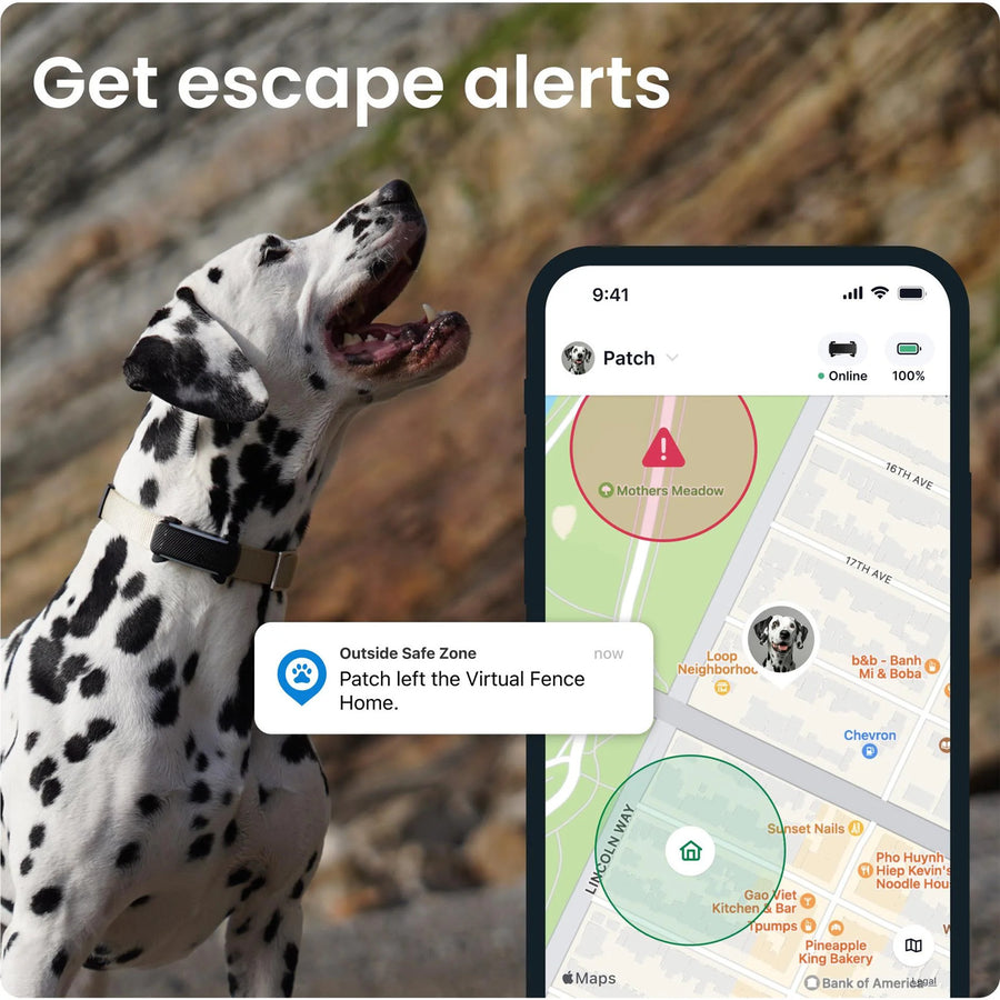 Tractive GPS Dog 6 Tracker - Subscription Required