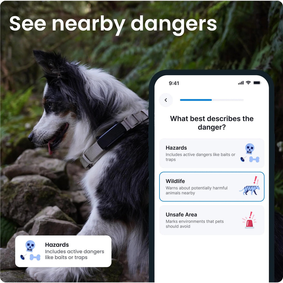 Tractive GPS Dog 6 Tracker - Subscription Required