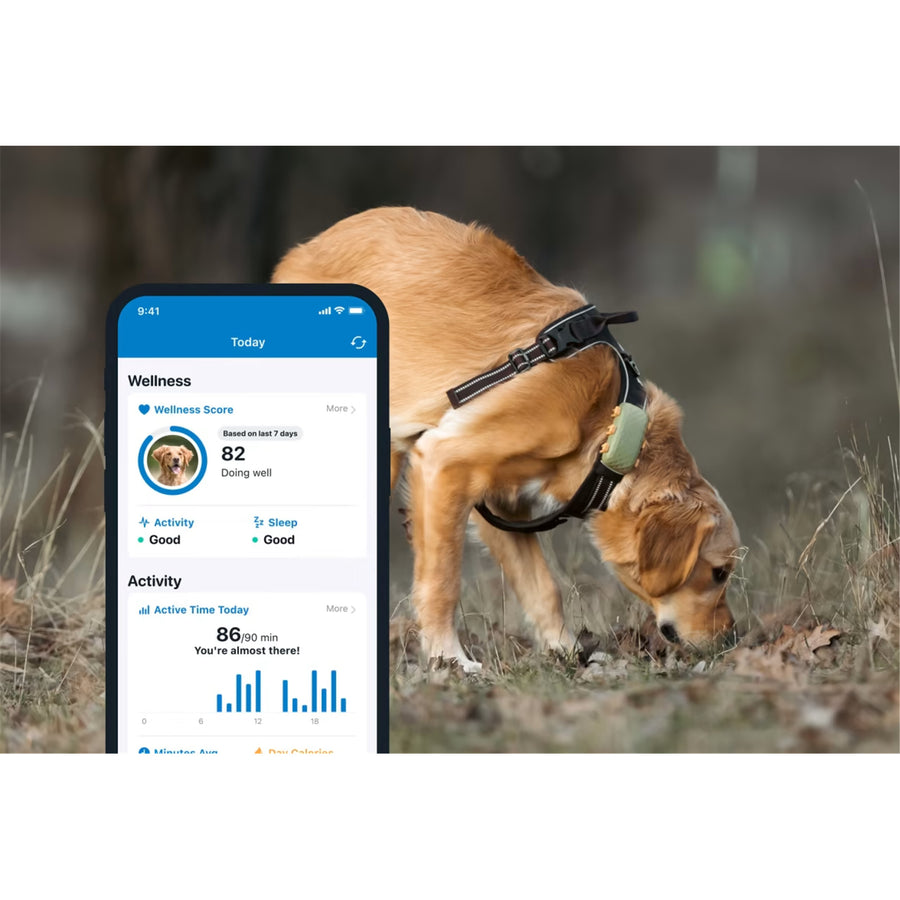 Tractive GPS Longer Battery Life Tracker for Dogs - Subscription Required