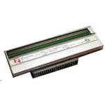 Zebra 79800M