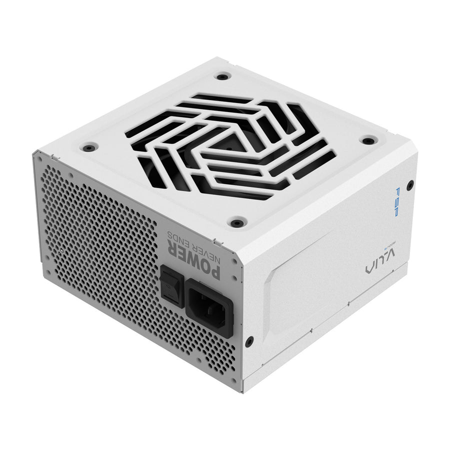 FSP VITA GM  750W ATX 3.1 White Full Modular 80 Plus Gold Power Supply